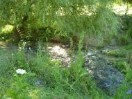 Сокиряни з panoramio.com