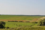 Матвіївці з panoramio.com