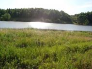 Шийки - Останні фото