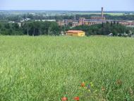 Войнівка з panoramio.com