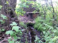 Шельпахівка з panoramio.com