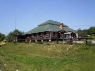 Голинь - Останні фото