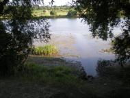 Кошаро-Олександрівка з panoramio.com