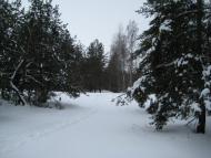 Гути з panoramio.com