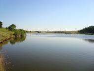 Шийки з panoramio.com