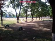 Шевченкове з panoramio.com