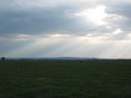 Тарасівці з panoramio.com