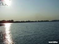 Павлівка з panoramio.com