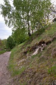 Башківці з panoramio.com