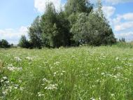 Пустовіти з panoramio.com