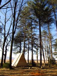 Дзвиняч з panoramio.com