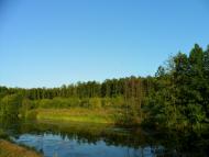 В'язенка - Останні фото