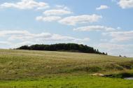 Матвіївці з panoramio.com