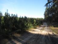 Шуляки - Останні фото