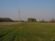 Марочкине з panoramio.com