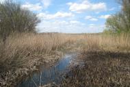 Петрівка з panoramio.com