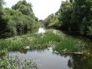 Миропілля з panoramio.com