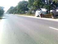 Роксолани з panoramio.com