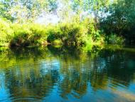 Сорочине з panoramio.com