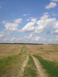 Княже з panoramio.com