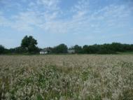 Кислі з panoramio.com