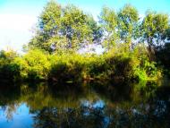 Сорочине з panoramio.com