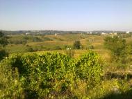 Гвоздів з panoramio.com