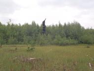 Студенок з panoramio.com