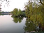 Балясне з panoramio.com