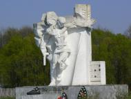 Дольськ з panoramio.com