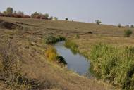 Новожитомир - Последние фото