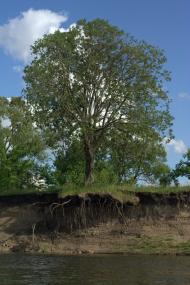 Озаричі з panoramio.com