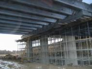 Береза - Останні фото