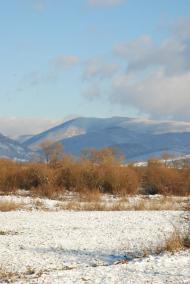 Тур'я Поляна з panoramio.com