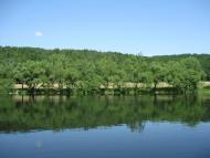 Губник з panoramio.com