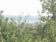 Придніпровське з panoramio.com