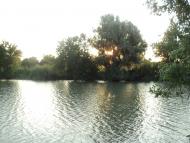 Василівка з panoramio.com