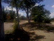 Підстепне з panoramio.com