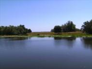 Василівка з panoramio.com