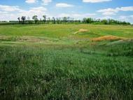 Пичугине з panoramio.com