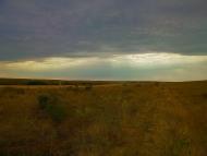 Каштани з panoramio.com