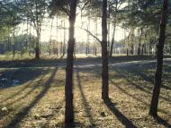 Мішково-Погорілове з panoramio.com