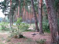 Стригани з panoramio.com