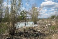 Петрівка з panoramio.com