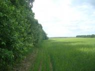 Мала Стружка з panoramio.com