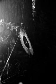 Щаснівка з panoramio.com