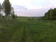 Махаринці з panoramio.com