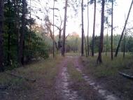 Студенок з panoramio.com