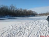 Омельник з panoramio.com