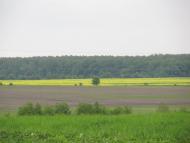 Прикордонна Улашанівка з panoramio.com